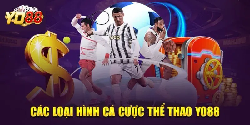 Top 3 môn thể thao hấp dẫn tại sảnh cược